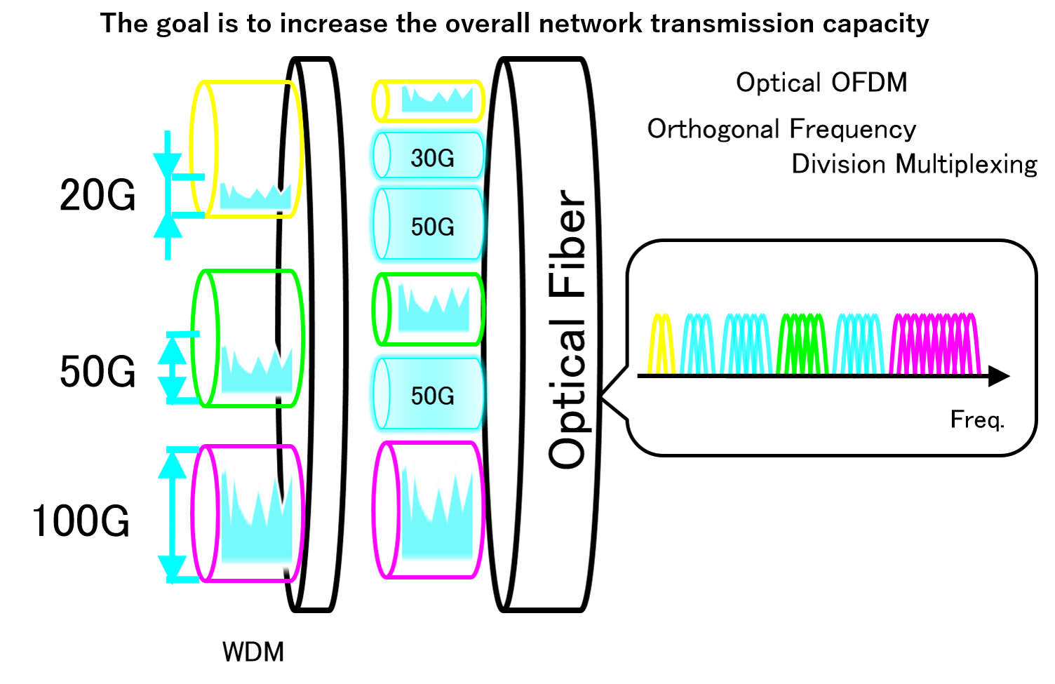 Elastic Optical Network